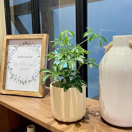 A La Petite Grange Obenheim